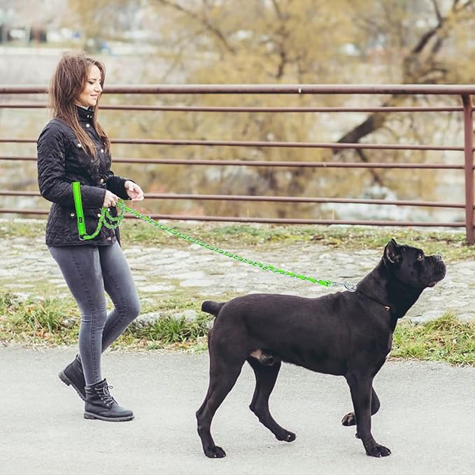 HOMIMP Chew Proof Dog Leash for Medium Large Dogs, Reflective 6 FT Heavy Duty Metal Chain Dog Leashes with Soft Padded Handle, Anti Bite Durable Rope Leashes for Pitbull, Non Chewable