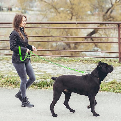 HOMIMP Chew Proof Dog Leash for Medium Large Dogs, Reflective 6 FT Heavy Duty Metal Chain Dog Leashes with Soft Padded Handle, Anti Bite Durable Rope Leashes for Pitbull, Non Chewable