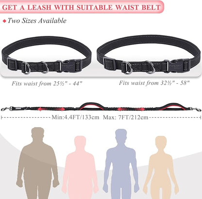 VIVAGLORY Hands Free Dog Leash Bungeetwin Running Dog Leash with Waist Belt for Running Walking & Jogging, Bungee & Around Waist for Pet, M, Black/Red