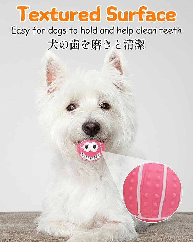 SCHITEC Squeaky Dog Balls, [4 Pack] Cute Interactive Latex Rubber Toys with Squeaker, 2.2'' Soft Bouncy Fetch Ball for Puppy Small Breed Dogs