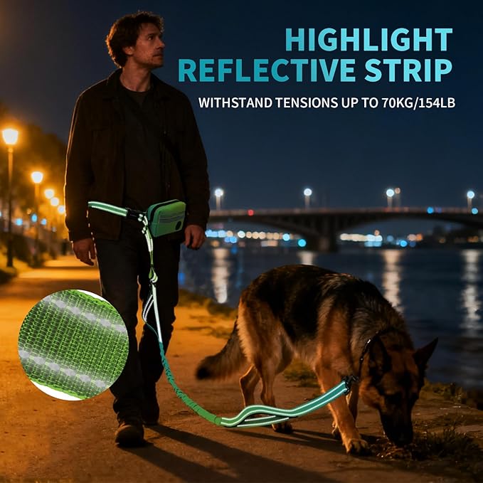 Hands Free Dog Leash with Removable Zipper Pouch, Dual Padded Handles and Durable Bungee for Walking, Jogging and Running-Your Dog (Large, 35-140 lbs-Cyan