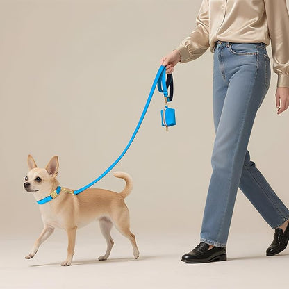 Didog 5FT Colorful Nylon Dog Leash with Soft Full-Length Padding, Lightweight and Durable Pet Leash for Small Dogs, Blue, S