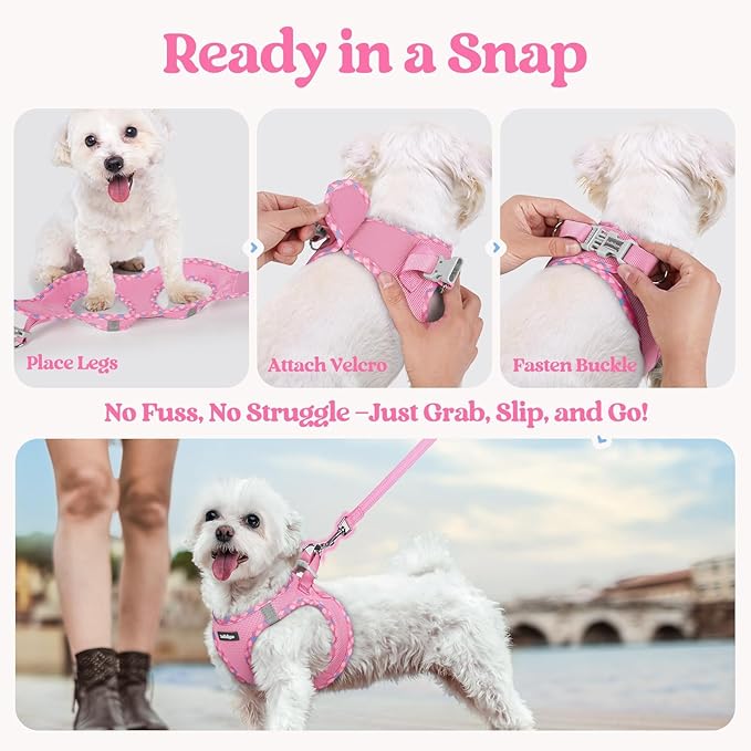 rabbitgoo Dog Harness Small Sized and Leash Set, Step in Soft Light Puppy Vest, Breathable Mesh Pet Harness, Reflective for Safe Easy Walking, Pink & Plaid Trim XS