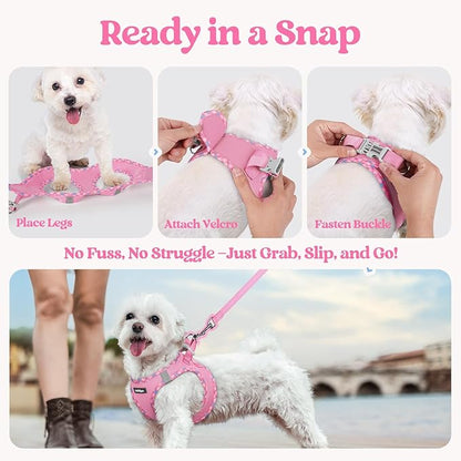 rabbitgoo Dog Harness Small Sized and Leash Set, Step in Soft Light Puppy Vest, Breathable Mesh Pet Harness, Reflective for Safe Easy Walking, Pink & Plaid Trim XS