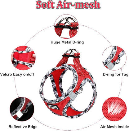 Mercano Soft Mesh Dog Harness and Leash Set, No-Chock Step-in Reflective Breathable Lightweight Easy Walk Vest Harnesses with Safety Buckle for Small Dogs, Cats (Red, XXS)