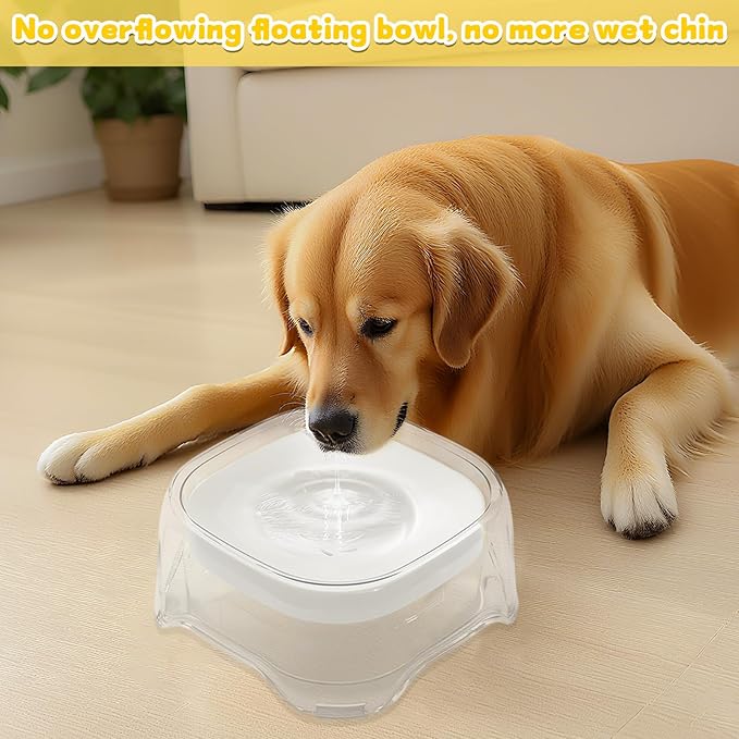 Splash-Proof Cat & Dog Water Bowl 2L Anti-Spill Design Reduces Refill Frequency Splash-Resistant Bowl Keeps Surroundings Clean Slow-Drink Bowl Designed for Pets Who Splash Water (White)
