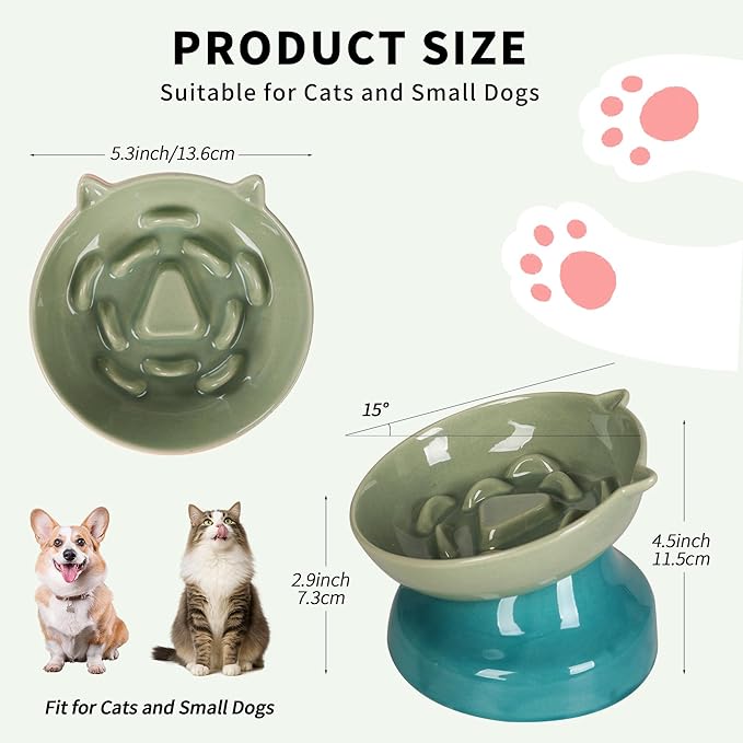 Slow Feeder Cat Bowl, Ceramic Cat Slow Feeder,Elevated Anti Vomiting Whisker Friendly Tilted Design,for Dry and Wet Food,Dishwasher Safe (Green)