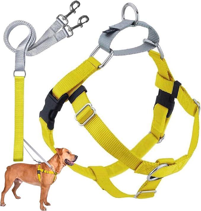 2 Hounds Design Freedom No Pull Dog Harness, Adjustable Harness and Leash Set, Easy Walking & Comfortable Control, Fits Small, Medium & Large Dogs, Solid Colors, Made in USA, 1" XL, Yellow