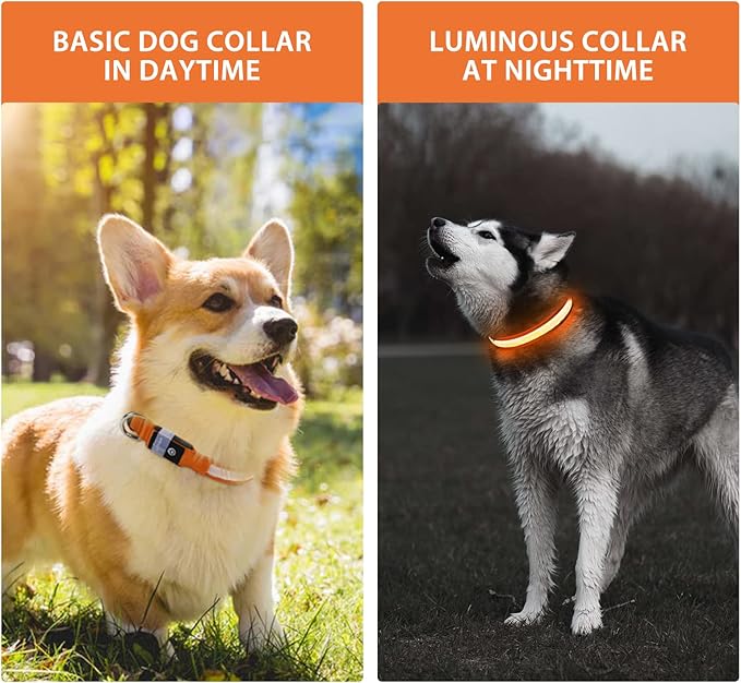 PcEoTllar Light up Dog Collar for Night Walking - LED Dog Collar Light Rechargeable Color Changing, Glow in the Dark Dog Collars Waterproof Glowing Dog Collars for Large Small Medium Dogs