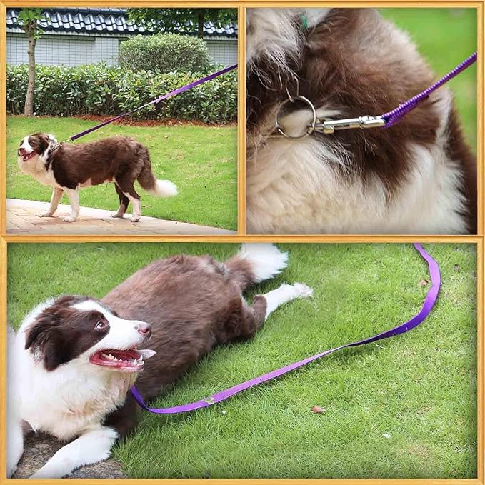 AMAGOOD 6 FT Puppy/Dog Leash, Strong and Durable Traditional Style Leash with Easy to Use Collar Hook, Great for Small, Medium and Large Dogs (1" x 6 ft, Black and Purple (2-Pack))