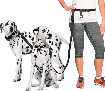 The Buddy System Accessories for Our Dog Leashes Made in USA (Double Buddy, Regular Dog Black)