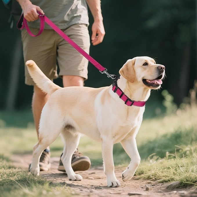 Joytale Reflective Dog Collar, Soft Neoprene Padded, Metal D-Ring, Nylon Pet Collar Adjustable for Large Dogs, Hotpink, L