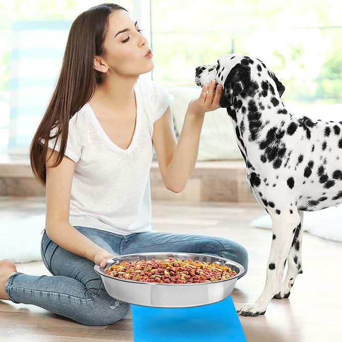 Shallow Dog Food Bowls, Non Slip Food Grade Stainless Steel Bowls for Large Dogs - Interior Size (Dia:10.6" xHeight 2.0") Hold 8 Cups / 2 Quart (2 Packs)