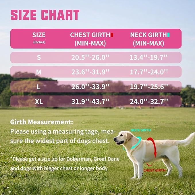 AUROTH Dog Harness and Leash Set, Soft Padded Service Dog Vest with 5.25FT Dog Leash, No Choke, Easy On Pet Vest, Adjustable Reflective No Pull Dog Harness for Large Dogs, Easy Walking and Training