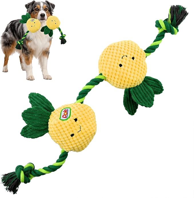 Dole for Pets® Dog Rope Toy with Squeakers, Pineapple Tug of War Dog Toy, Tough Cotton Rope Toys for Dogs, Aggressive Chew Toys for Large Dogs and Medium Dogs