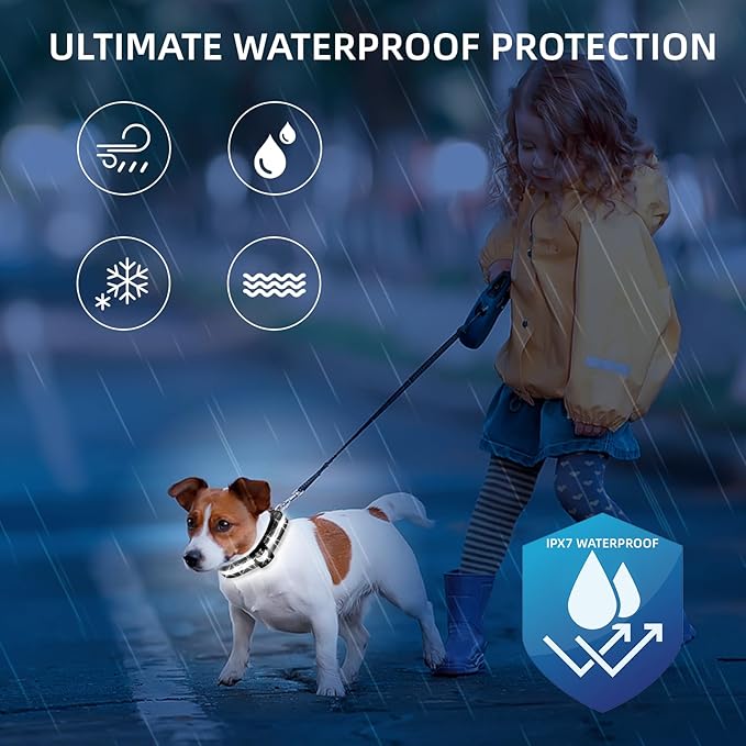LED Dog Collar for XSmall Dogs & Toy Breeds – USB-C Rechargeable Light Up Dog Collar, Fully Waterproof Adjustable Glow Collar for Night Walking & Safety(White,XS)