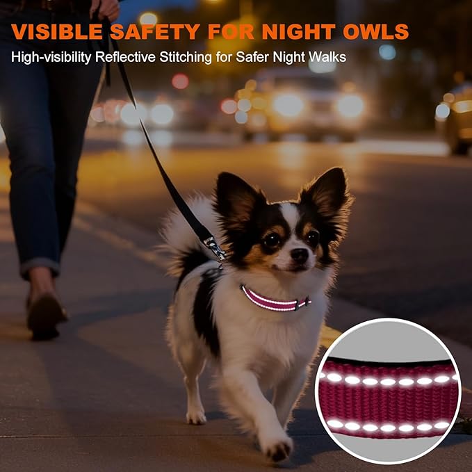 Taglory Reflective Dog Collar with Safety Locking Buckle, Soft Neoprene Padded Dog Collar for Puppy Dogs, Metal D-Ring, Adjustable Nylon Neck Strap for Daily Walking, Training & Running, Hot Pink, XS