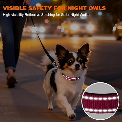 Taglory Reflective Dog Collar with Safety Locking Buckle, Soft Neoprene Padded Dog Collar for Puppy Dogs, Metal D-Ring, Adjustable Nylon Neck Strap for Daily Walking, Training & Running, Hot Pink, XS