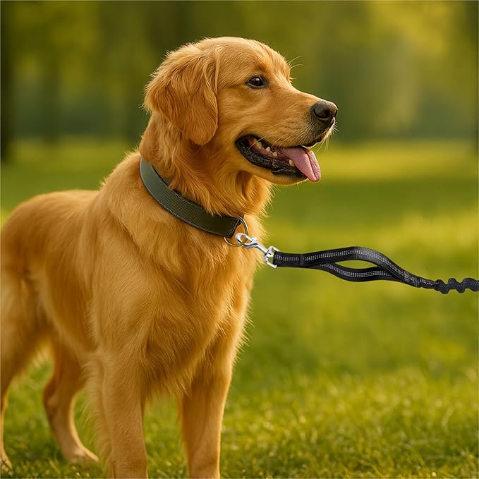 Hands-Free Dog Leash for Dogs up to 130 lbs – Heavy-Duty, Shock-Absorbing Bungee Leash with Zipper Pouch, Dual Padded Handles & Adjustable Waist Belt for Running & Walking –Classic Black