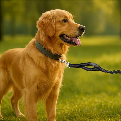 Hands-Free Dog Leash for Dogs up to 130 lbs – Heavy-Duty, Shock-Absorbing Bungee Leash with Zipper Pouch, Dual Padded Handles & Adjustable Waist Belt for Running & Walking –Classic Black