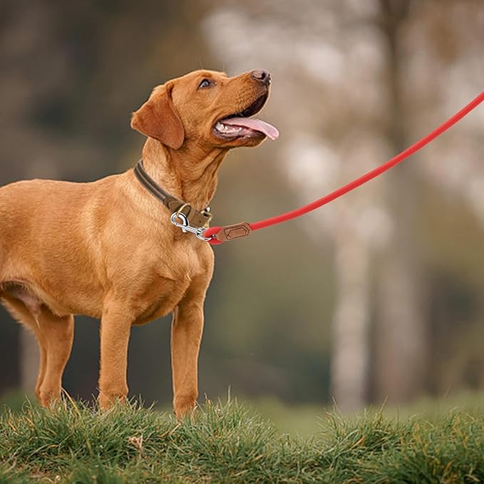 Mile High Life Leather Dog Leash, Heavy Duty Strong Genuine Leather Handle Rope Leash Soft and Comfortable for Small Medium Large Dogs (Red, 72 Inch)