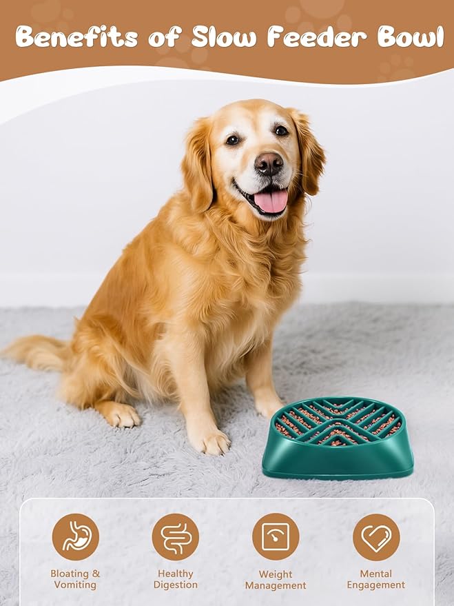 KASBAH Slow Feeder Dog Bowls Large Breed, 5 Cups Capacity for Wet & Dry Food, Puzzle Maze Bowl for Fast Eaters, Non-Slip Base, BPA Free, Helps Prevent Bloat and Aid Digestion