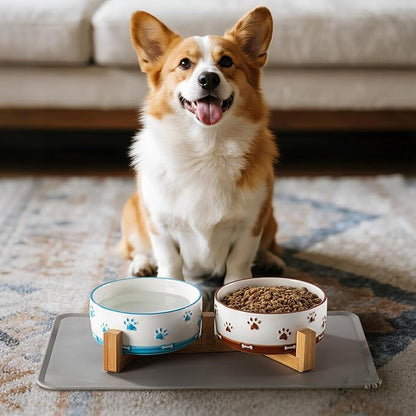 YUN TAO 3.5 Cups Pet Bowls Set of 2 for Medium Dogs,Ceramic Pet Food Water Dish Feeding with Wooden Stand,Cute Puppy Pet Dishes,Includes Non-Slip Silicone Mat