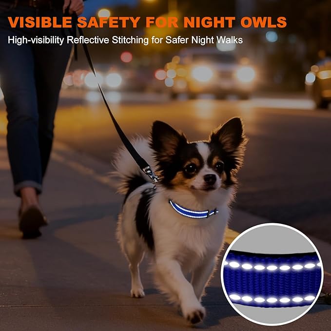 Taglory Reflective Dog Collar with Safety Locking Buckle, Soft Neoprene Padded Dog Collar for Puppy Dogs, Metal D-Ring, Adjustable Nylon Neck Strap for Daily Walking, Training & Running, Navy Blue, XS