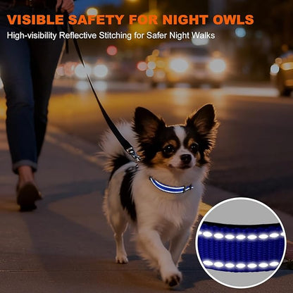 Taglory Reflective Dog Collar with Safety Locking Buckle, Soft Neoprene Padded Dog Collar for Puppy Dogs, Metal D-Ring, Adjustable Nylon Neck Strap for Daily Walking, Training & Running, Navy Blue, XS