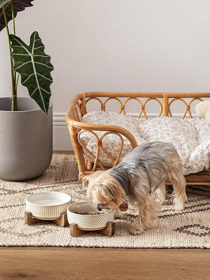 LE TAUCI PET Dog and Cat Bowl Set with Acacia Wood Stand - 2 Cup Ceramic Puppy Bowls for Cats &Small Dogs, Dual Food and Water Bowls with Weighted Non-Slip Base, Lines+Dot