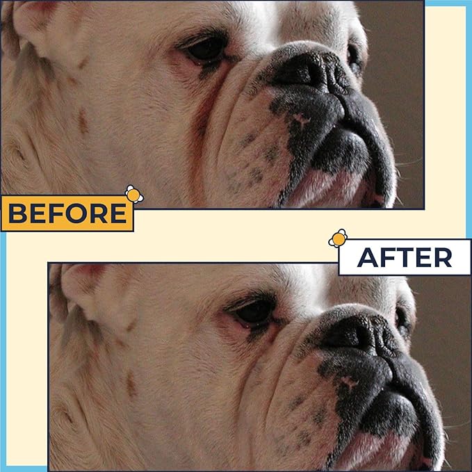 Paste for Bulldogs Wrinkle 2oz+ 50 Wrinkle Wipes French Bulldog (Pack of 2)- Wrinkle Cream for Dogs, Frenchie, English Bulldog, Pug- Cleans Rashes,Tail Pockets, Dry Skin & Paws (Made In USA)