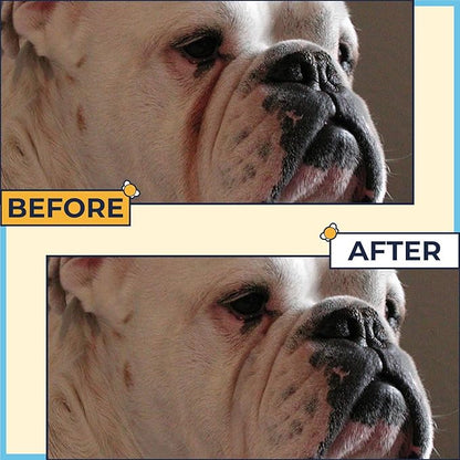 Paste for Bulldogs Wrinkle 2oz+ 50 Wrinkle Wipes French Bulldog (Pack of 2)- Wrinkle Cream for Dogs, Frenchie, English Bulldog, Pug- Cleans Rashes,Tail Pockets, Dry Skin & Paws (Made In USA)