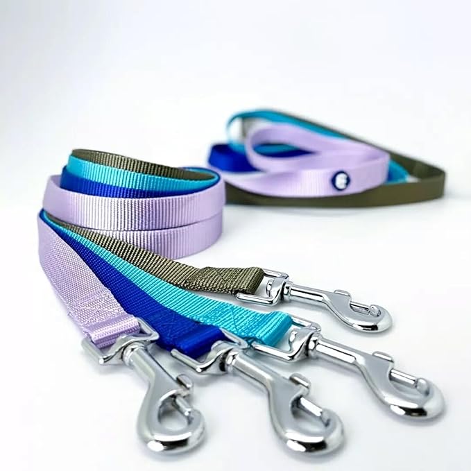 Blueberry Pet Essentials Lavender Dog Leash for Large - 4' * 1" Dogs | Heavy Duty Nylon Lead | Lightweight Puppy & Cat Leash for Walking & Training