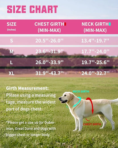 AUROTH Dog Harness and Leash Set, Soft Padded Service Dog Vest with 5.25FT Dog Leash, No Choke, Easy On Pet Vest, Adjustable Reflective No Pull Dog Harness Small Sized Dog, Easy Walking and Training
