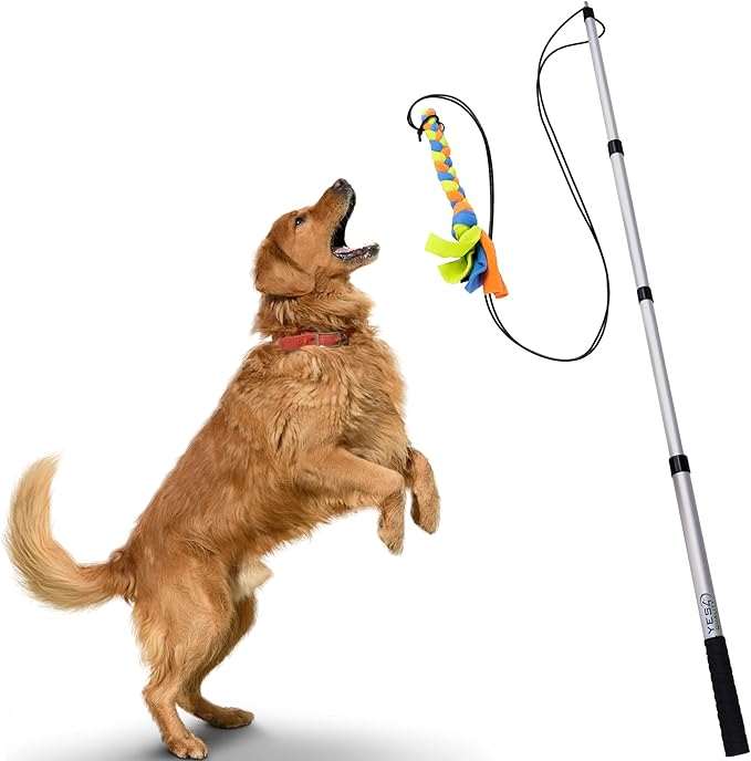 YES4QUALITY Flirt Pole for Dogs - Safe & Strong for Large Breeds with Non-Bungee Cord - Spring Pole for Tug of War, Interactive Play & Puppy Training - Heavy Duty Teaser Wand for Outdoor Exercise