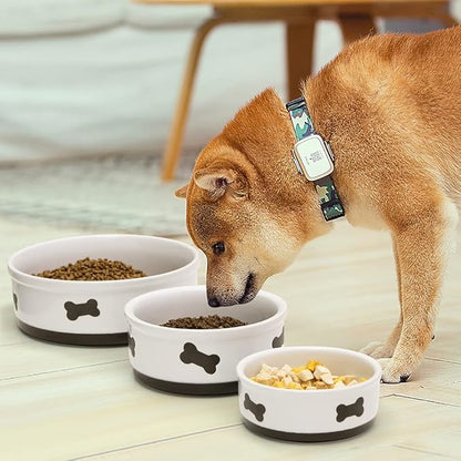 Sweejar Ceramic Dog Bowls with Bone Pattern, Dog Food Dish for Small Dogs, Porcelain Pet Bowl for Water 16 Fl Oz (Fog Blue)