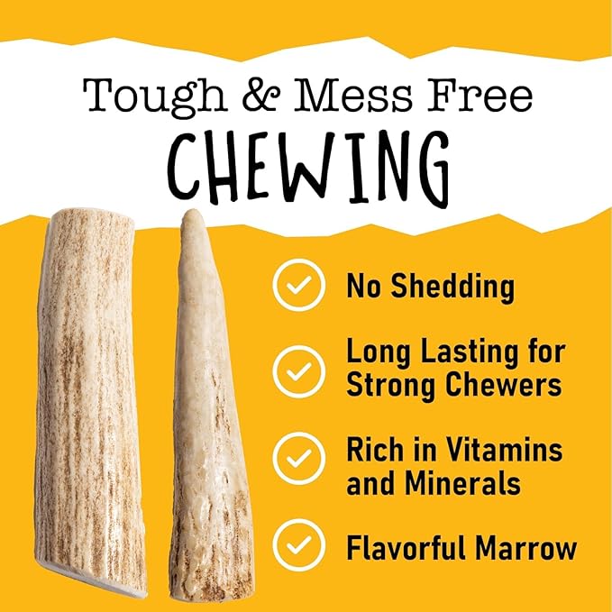 Snatchers Elk Antlers for Dogs – Long Lasting Dog Chews and Dog Toys for Aggressive Chewers, Naturally Shed Deer Antlers for Dogs Processed in The USA, No Additives (Small 4-5", 1 Count)