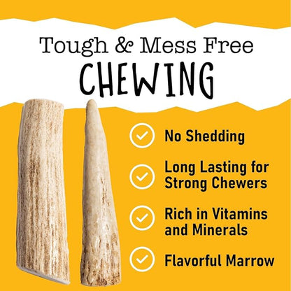 Snatchers Elk Antlers for Dogs – Long Lasting Dog Chews and Dog Toys for Aggressive Chewers, Naturally Shed Deer Antlers for Dogs Processed in The USA, No Additives (Small 4-5", 1 Count)