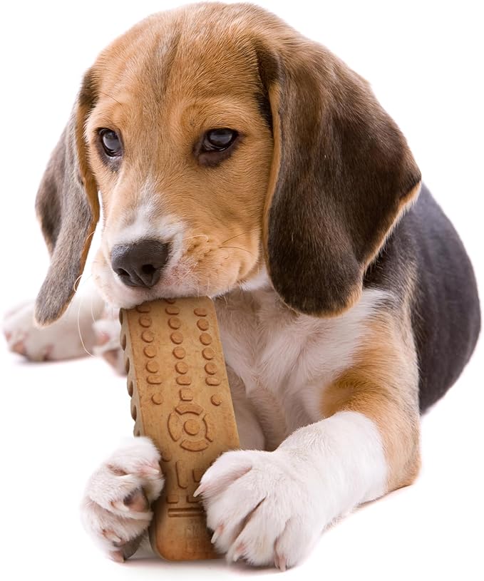 Powerbone TV Remote 7" Chew Toys for Dogs