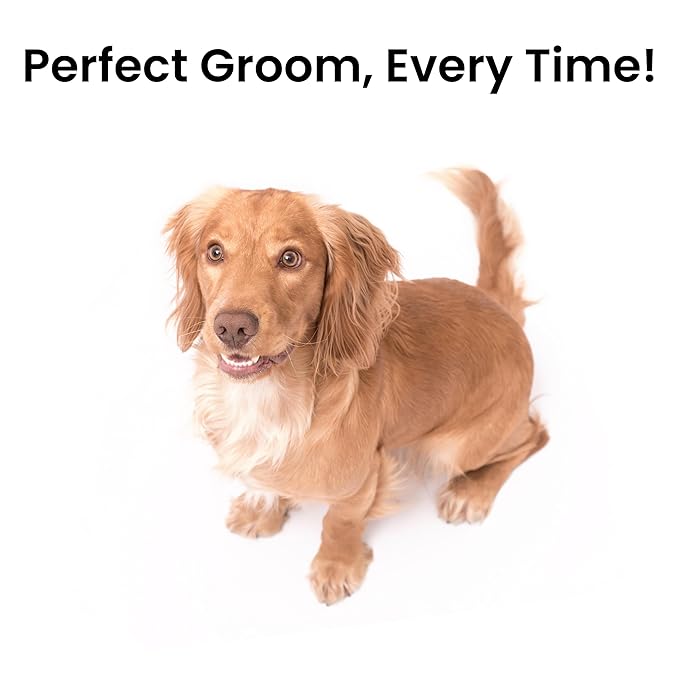 Fresh Ultra Half & Half XL Metal Pet Comb, Oval Aluminum Handle, Metal Grooming Comb for Dogs, 9.75"