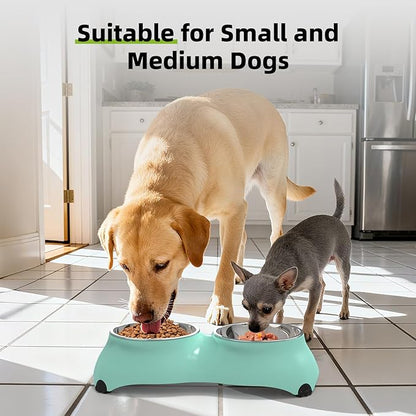 Stainless Steel Dog Bowls Set, Double Food & Water Bowls for Dogs, Dual Dog Food Bowl with 2 Medium (10oz*2) Bowl, Non-Slip Pet Bowls Suitable for Puppies, Cats and Medium Breed Dogs (Green)