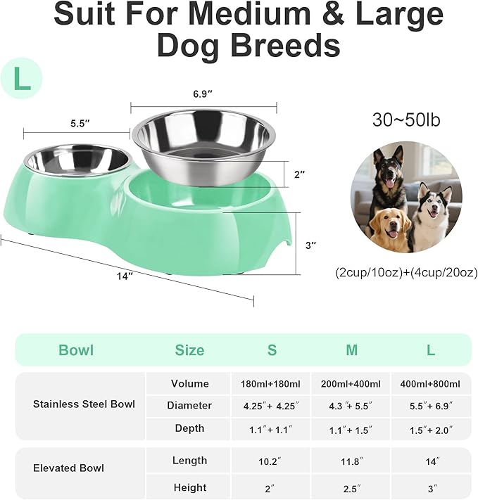 Elevated Dog Bowls Set - Non-Slip Raised Pet Feeder with Medium (2 Cups) & Large (4 Cups) Stainless Steel Bowls - Includes Durable Resin Stand for Corgi Puppies and Adult Cats - Green