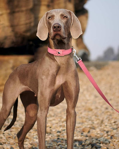 Reflective Dog Leash 4ft Soft Padded Handle Nylon Lead for Small & Medium Dogs, Durable Walking Training Leash for Night Safety (Neon Pink,3/4Inch Wide)