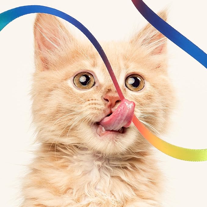 Cat Wand Toy Set, Interactive Cat Wand Toy with Rainbow Ribbon String, Leopard Print Cloth String for Small Cats Kittens Indoor Training Catcher (3 Packs)