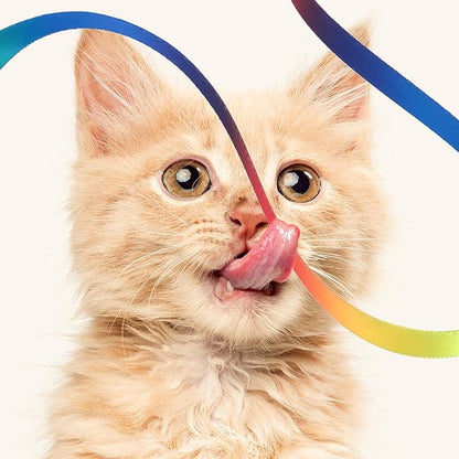 Cat Wand Toy Set, Interactive Cat Wand Toys with Rainbow and Leopard Print Cloth Strings for Small Cats and Kittens - Indoor Training Catcher (6 Packs)