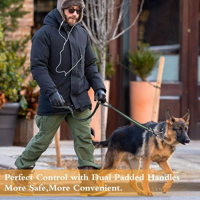 Dog Collars and Leads Heavy Duty Training Leash with Double Padded Handles Reflective 4 FT Long Perfect for Small Medium Large Dogs Walking Hiking Green LEONEBEBE
