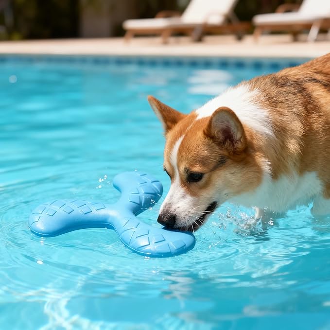 Ultra Durable Y-Shape Dog Chew Toy for Teeth Cleaning - Non-Toxic Rubber Interactive Tug of War & Fetch Toy for Medium & Large Dogs((Blue)
