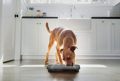 Neater Pet Brands Neater Slow Feeder Dog Bowls, Slows Down Fast Eating to Prevent Vomiting, Overeating, & Bloat, Dog Slow Feeder Bowl with Wide, Non-Slip Base, Holds 2.5 Cups Food and 8.5 Cups Water