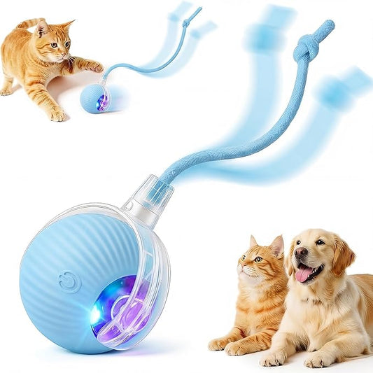 Interactive Cat Toy Ball, Automatic Intercative Cat Toys for Indoor Cats, The 3rd Generation Agile Moving Cat Ball with Elastic Mesh Tail, Toys for Indoor Adult Cats (Blue)
