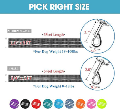 BAAPET 5 Feet Nylon Dog Leash with Triple Reflective Threads and Comfortable Padded Handle for Walking, Training Lead Small Puppy, Medium and Large Dogs (1.0'' x 5 FT, Black)